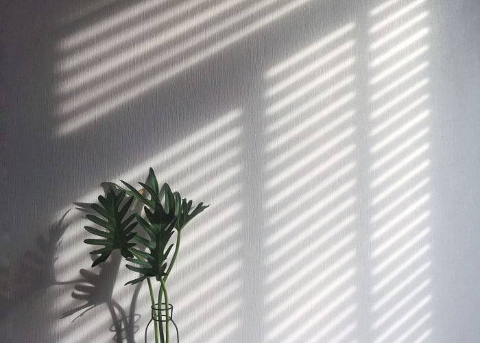 a shadow from wooden blind on white wall and vase of green fresh leaf in morning
